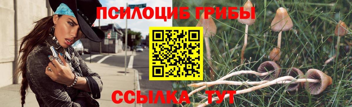Галлюциногенные грибы Psilocybine cubensis  Вход с VPN  купить наркотики цена  Полевской 